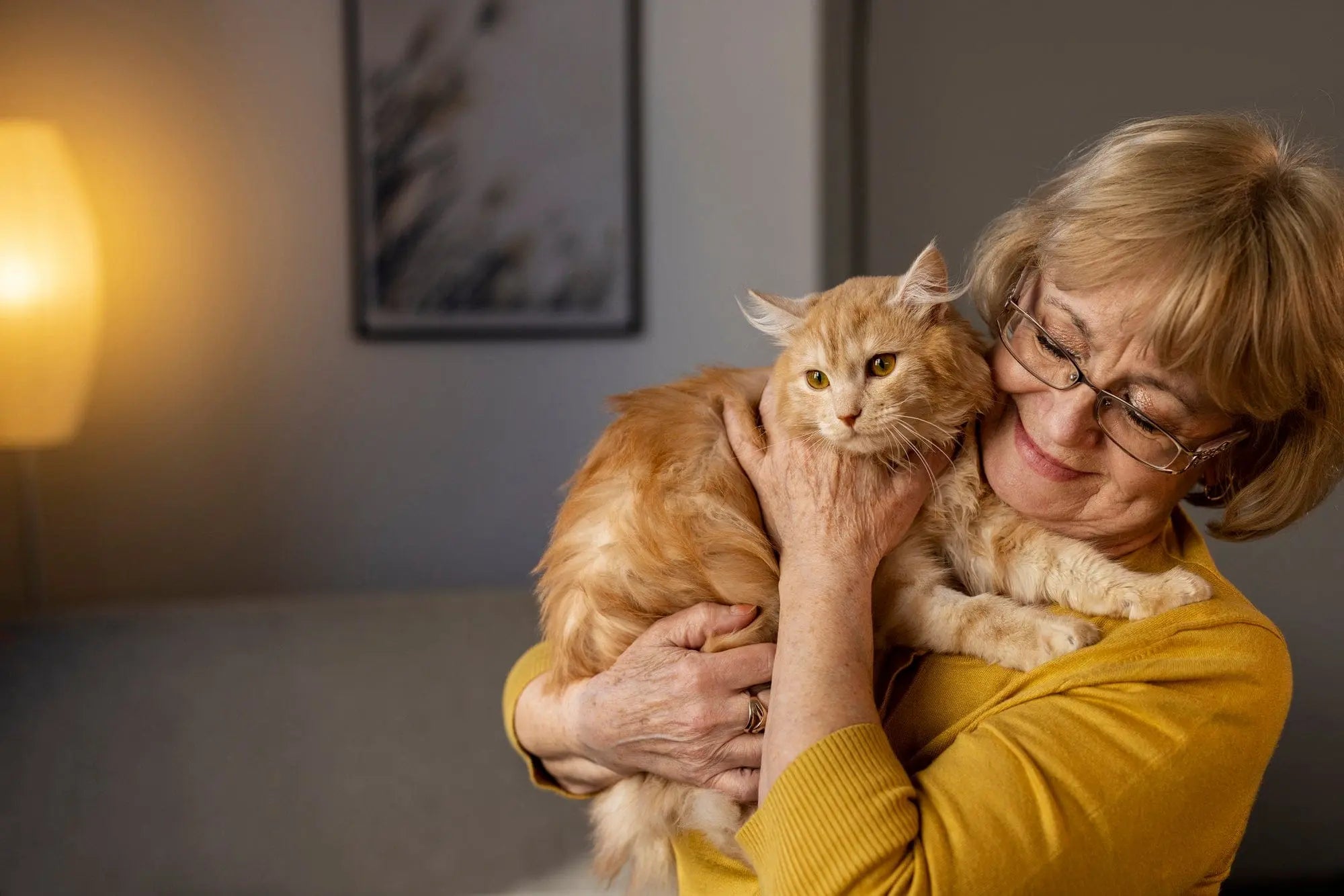 What Are the Best Pets for Seniors Looking for Companionship